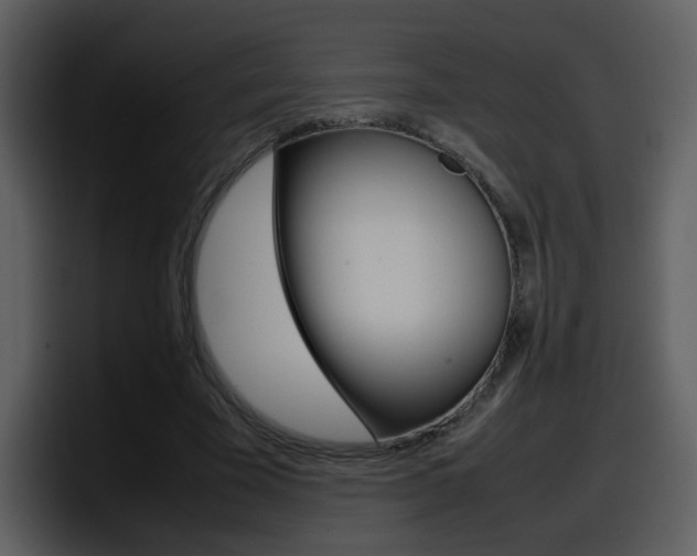 X0000098100585200804040748