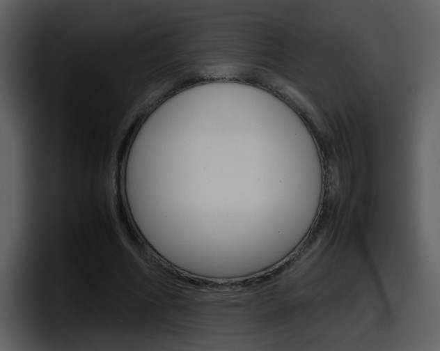 X0000098100586200804040748
