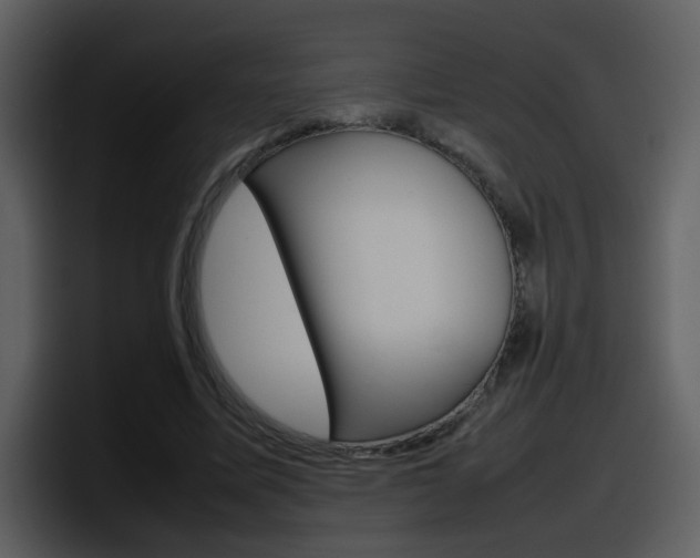 X0000098100587200804040748