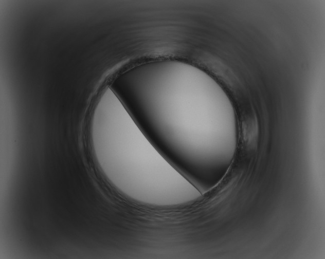 X0000098100588200804040748