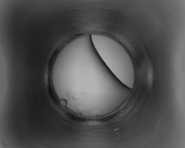 X0000098100590200804040748