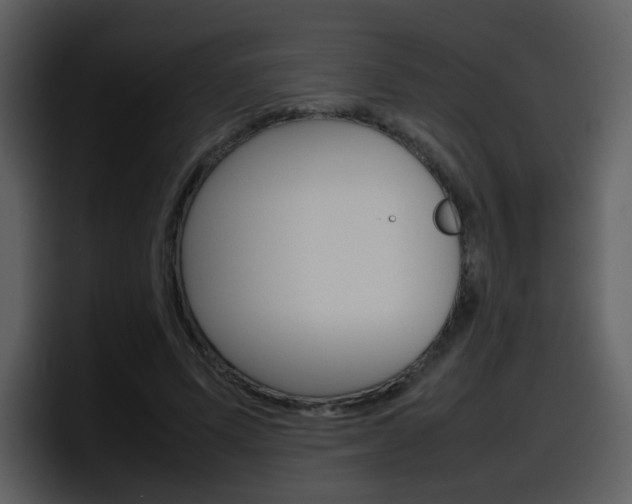 X0000098100591200804040748