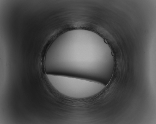 X0000098100592200804040748