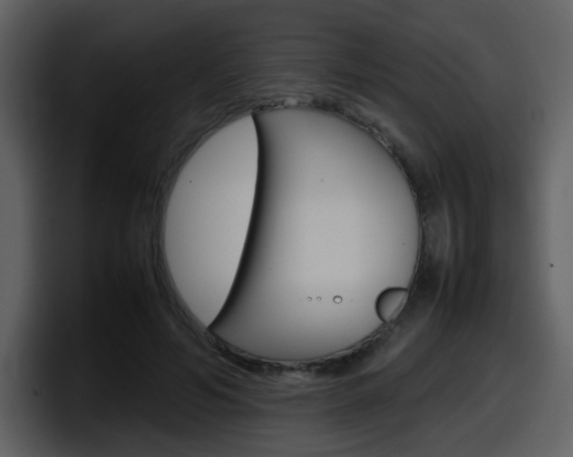 X0000098100594200804040748