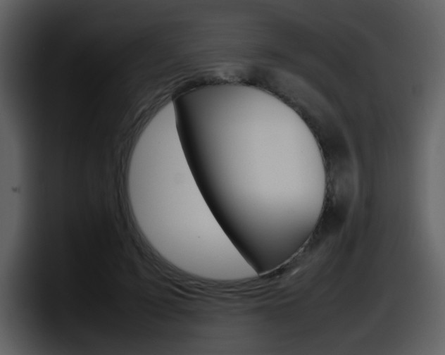 X0000098100595200804040748
