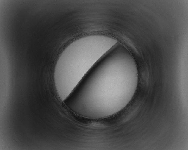 X0000098100596200804040748