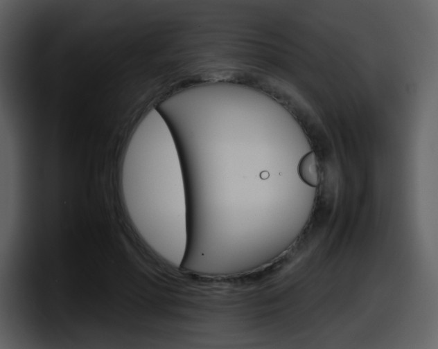 X0000098100598200804040748