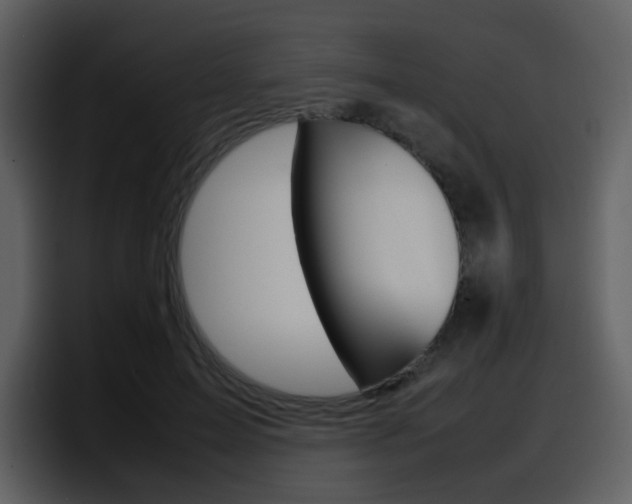 X0000098100599200804040748