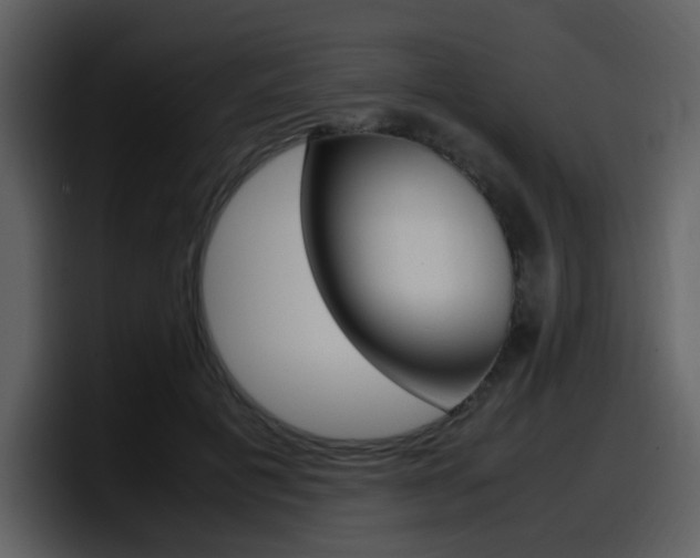 X0000098100601200804040748