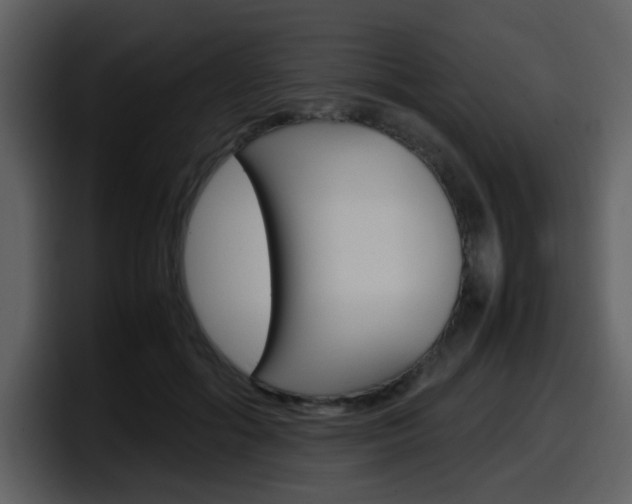 X0000098100602200804040748