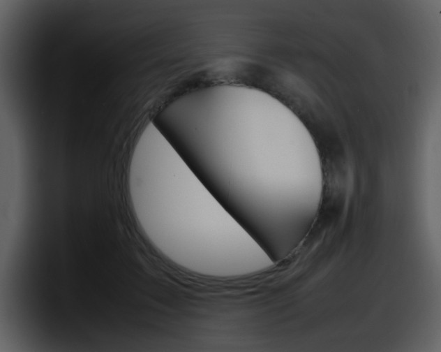 X0000098100603200804040748