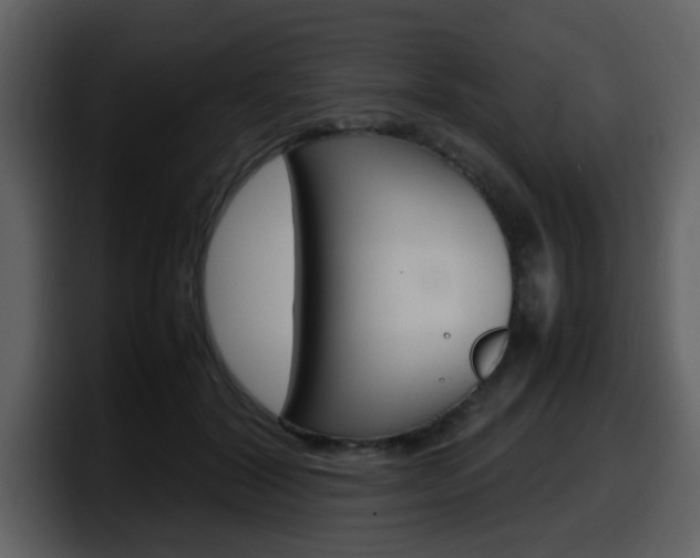 X0000098100604200804040748