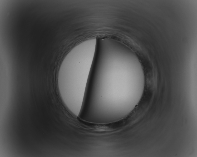 X0000098100605200804040748