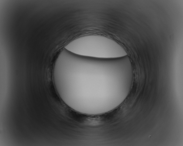X0000098100606200804040748