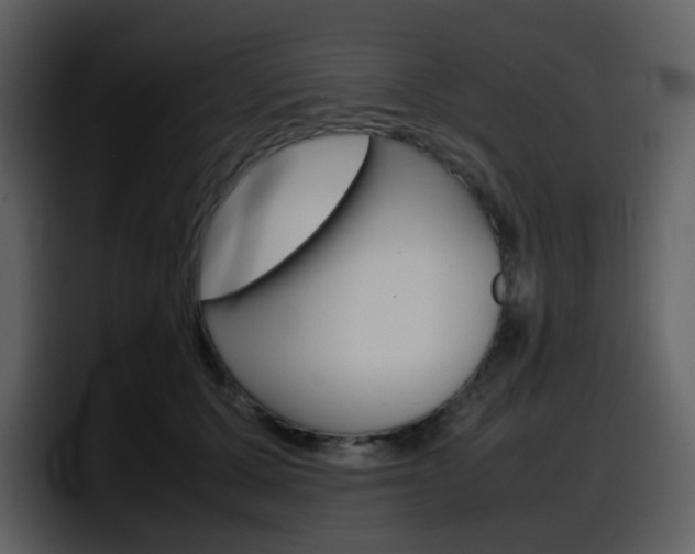 X0000098100607200804040748
