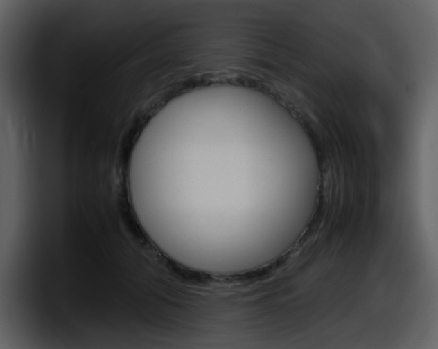 X0000098100608200804040748