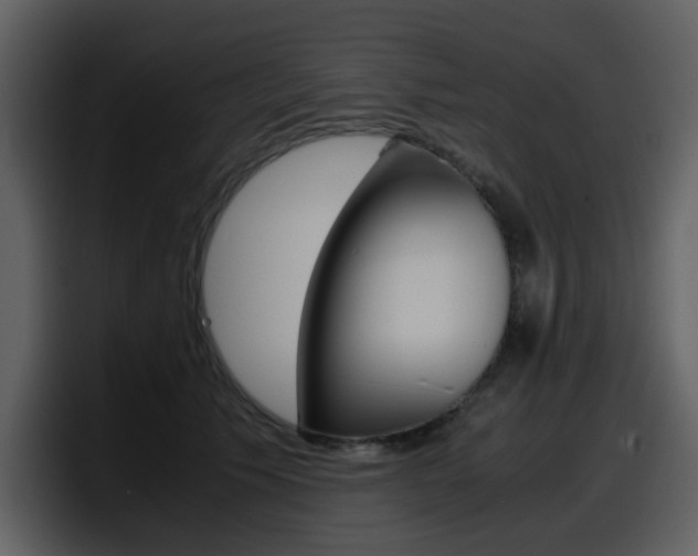 X0000098100609200804040748