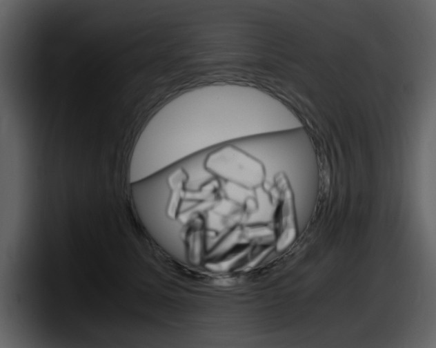 X0000098100611200804040747