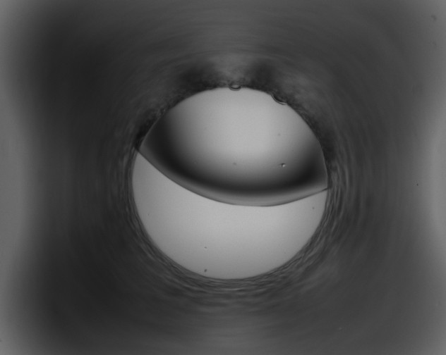 X0000098100613200804040747