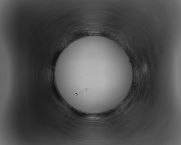 X0000098100614200804040747