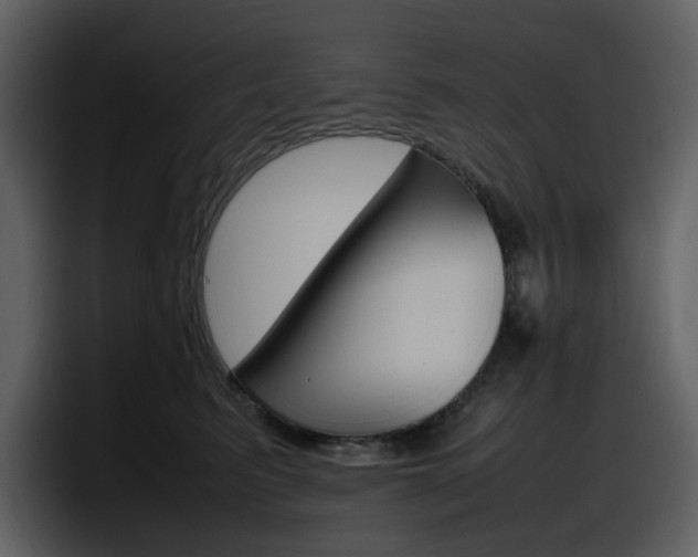 X0000098100615200804040747