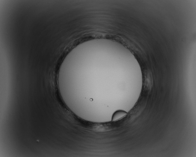X0000098100616200804040747