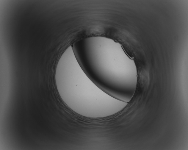X0000098100617200804040747