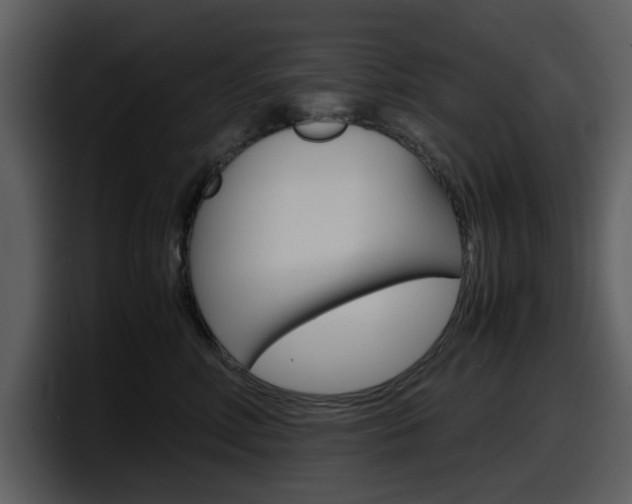 X0000098100618200804040747