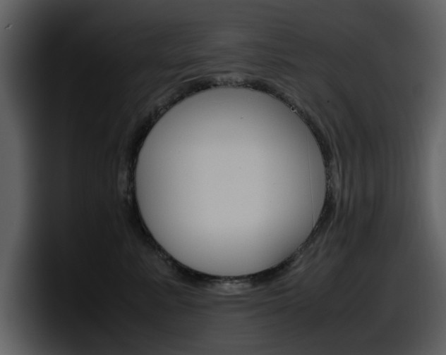 X0000098100619200804040747