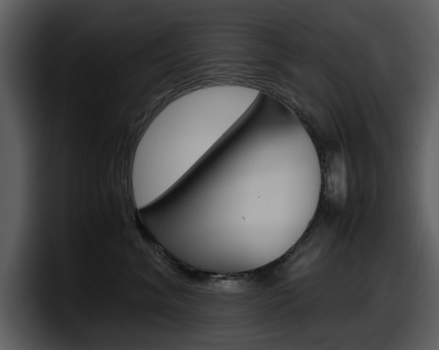 X0000098100620200804040747