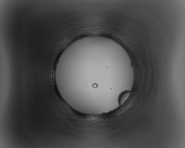 X0000098100624200804040747