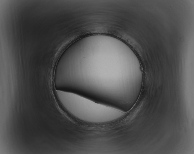 X0000098100625200804040747