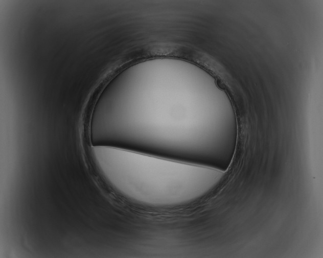 X0000098100626200804040747