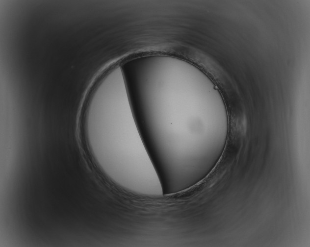 X0000098100628200804040747