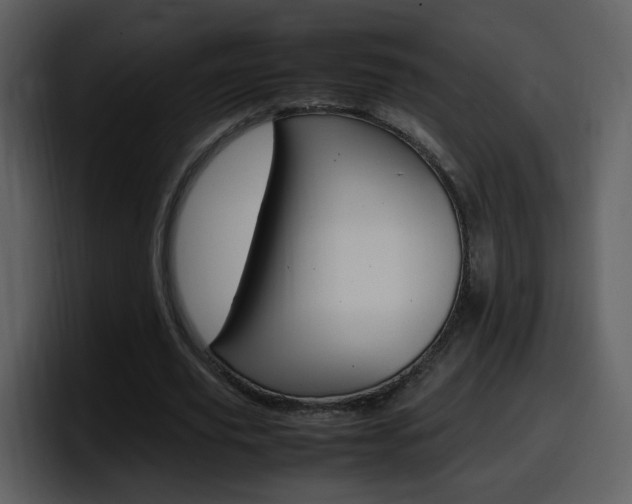 X0000098100629200804040747