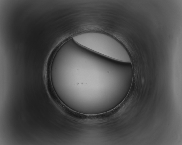 X0000098100630200804040747