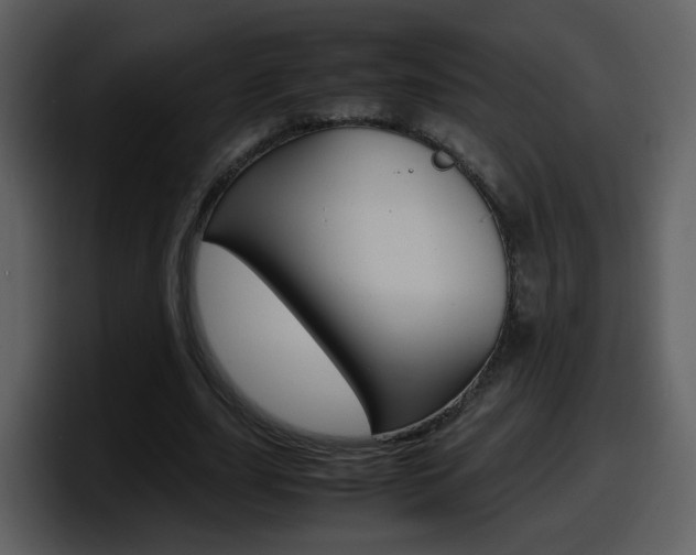 X0000098100631200804040747