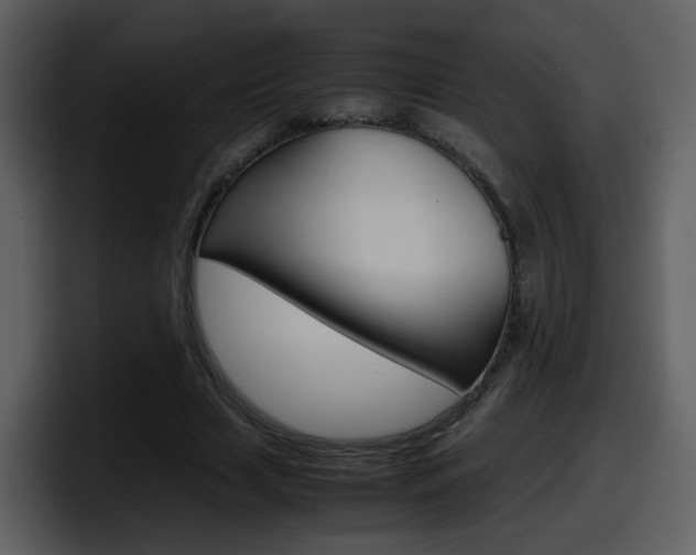 X0000098100633200804040747