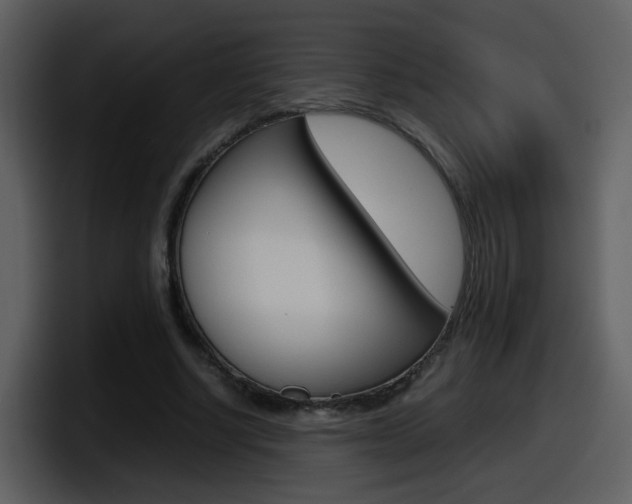 X0000098100634200804040747