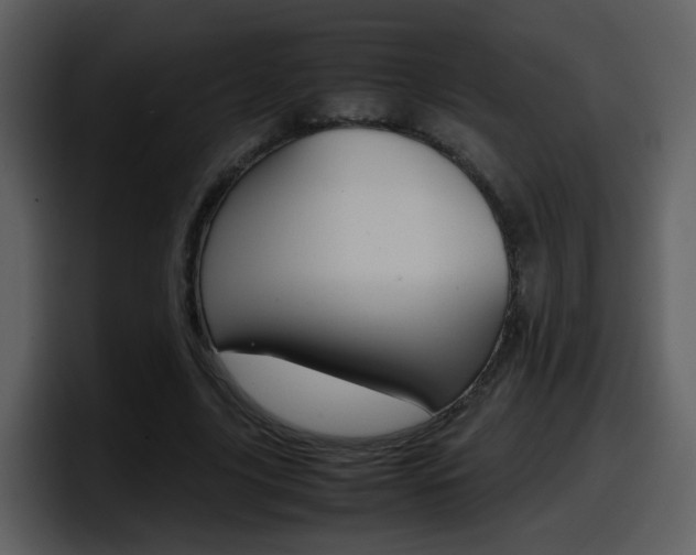 X0000098100635200804040747