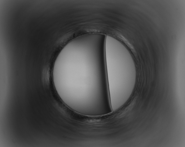 X0000098100637200804040747