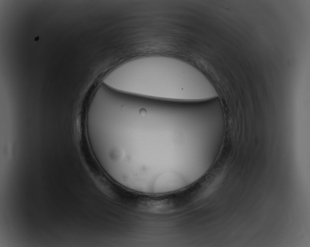 X0000098100638200804040747