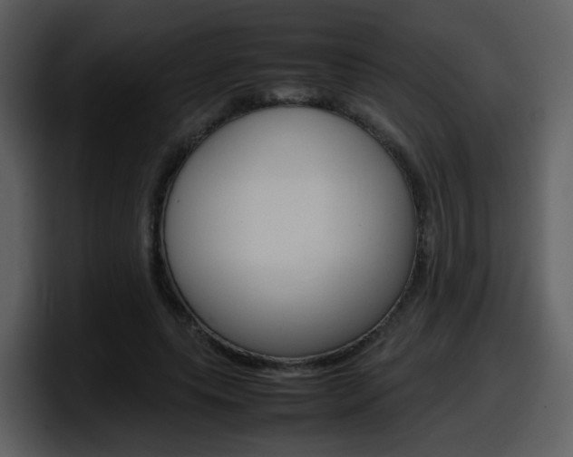 X0000098100639200804040747