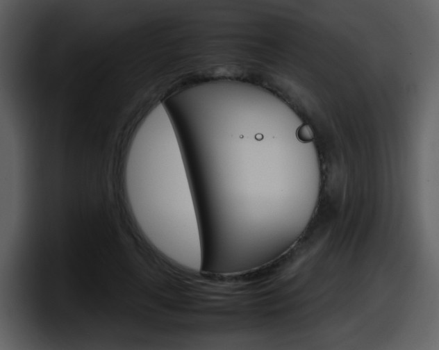 X0000098100643200804040747