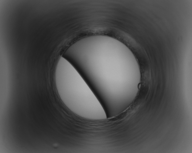 X0000098100644200804040747
