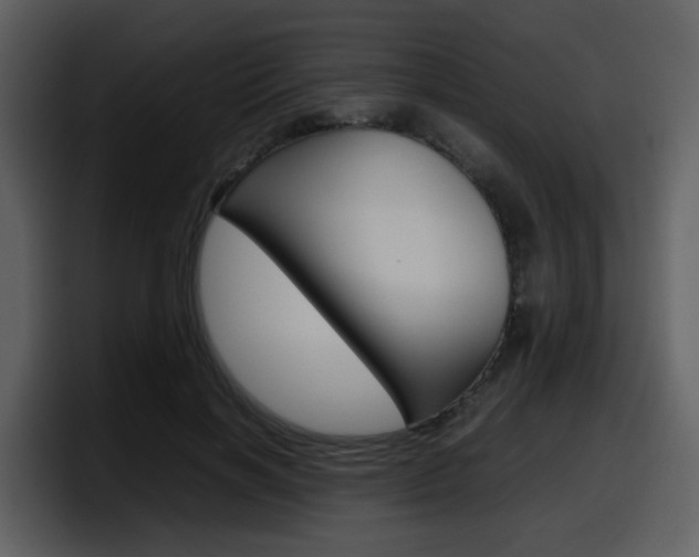 X0000098100646200804040747