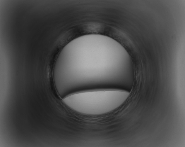 X0000098100647200804040747