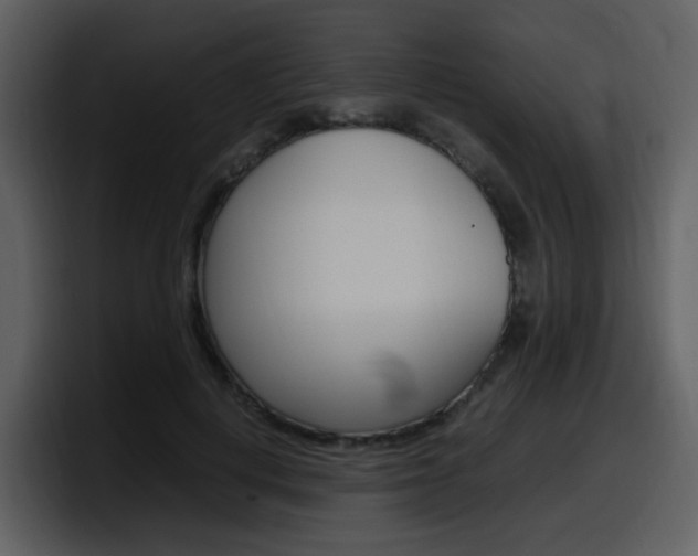 X0000098100648200804040747