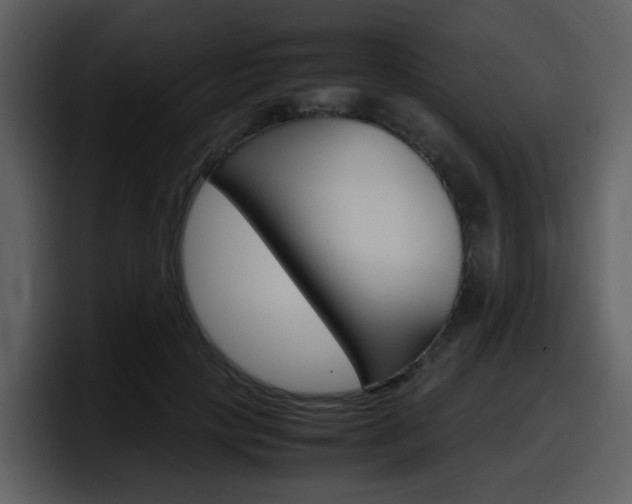 X0000098100649200804040747