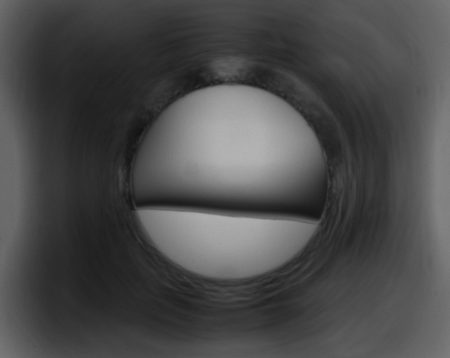 X0000098100651200804040747